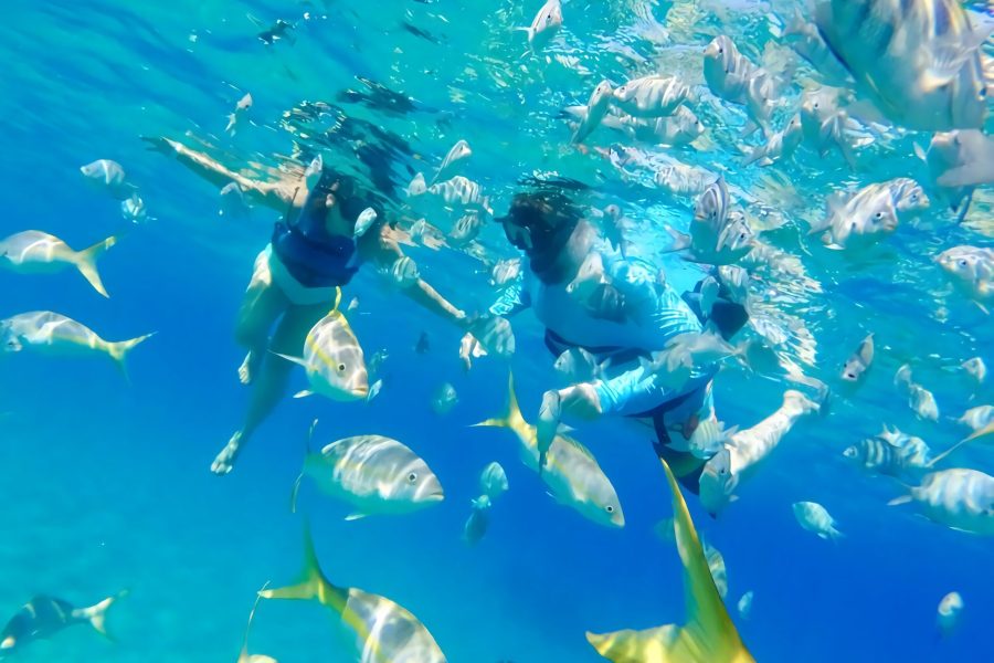 Snorkeling & Party boat