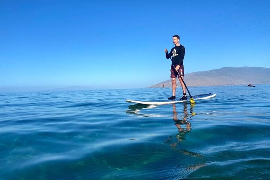 Stand up Paddle Board