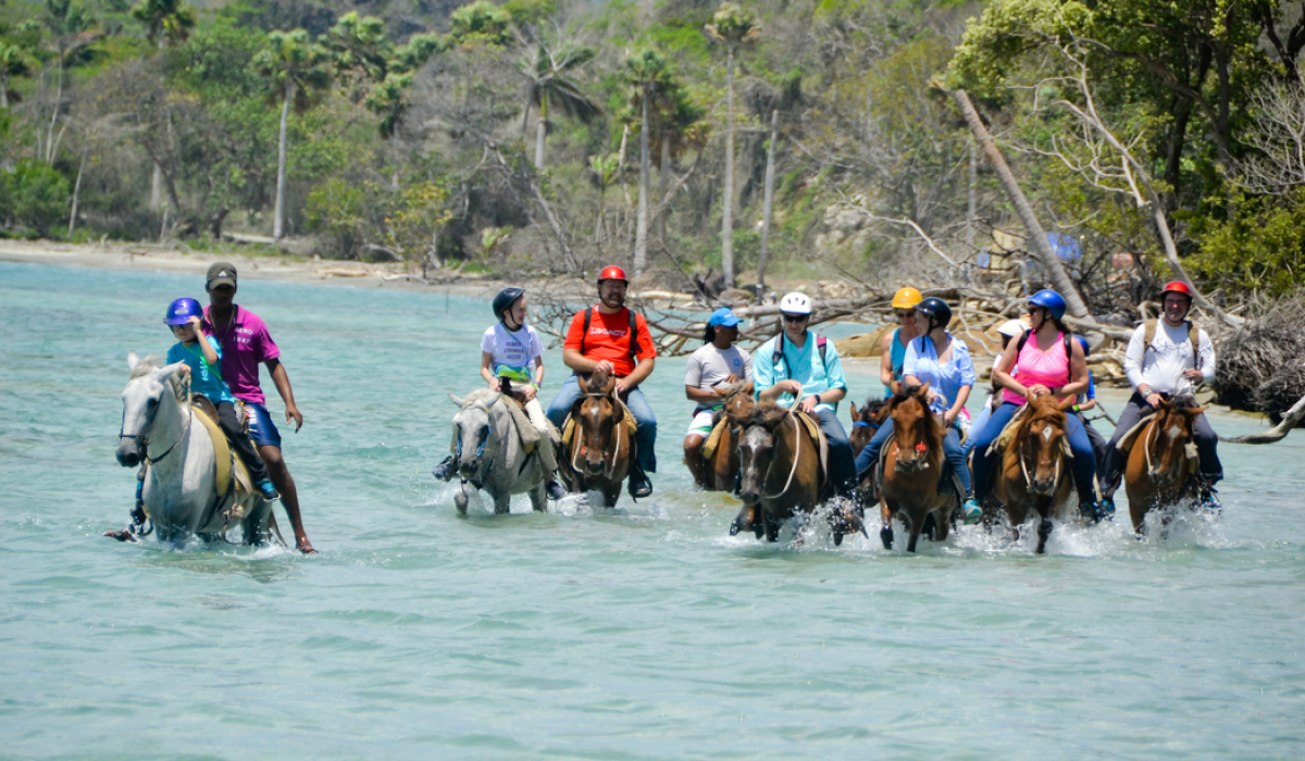 Person riding a horse on a scenic trail